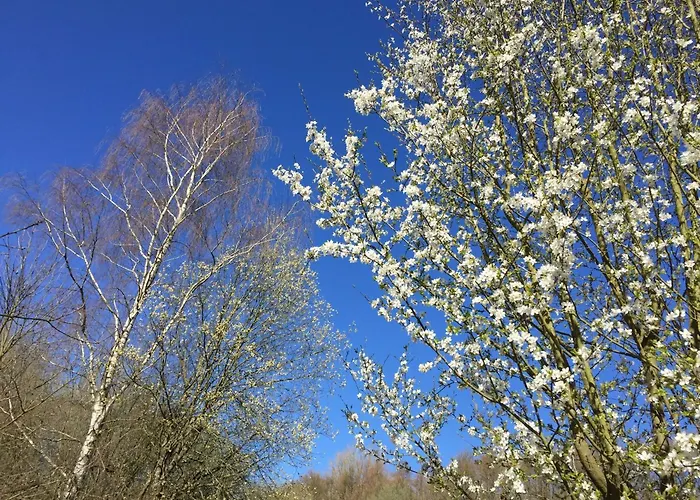 Turmblick Marienrachdorf